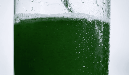 Activ Greens Bolsa de 30 sobres